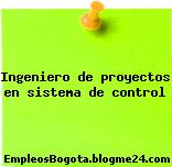 Ingeniero de proyectos en sistema de control