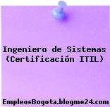 Ingeniero de Sistemas (Certificación ITIL)