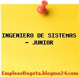 Ingeniero de Sistemas Junior