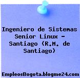 Ingeniero de Sistemas Senior Linux – Santiago (R.M. de Santiago)