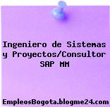 Ingeniero de Sistemas y Proyectos/Consultor SAP MM