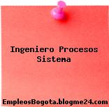 Ingeniero Procesos Sistema