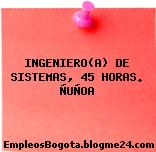 INGENIERO(A) DE SISTEMAS, 45 HORAS. ÑUÑOA