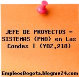 JEFE DE PROYECTOS – SISTEMAS (PMO) en Las Condes | (YOZ.218)