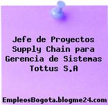 Jefe de Proyectos Supply Chain para Gerencia de Sistemas Tottus S.A