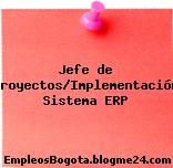 Jefe de Proyectos/Implementación Sistema ERP