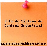 Jefe de Sistema de Control Industrial