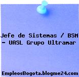 Jefe de Sistemas / BSM – UASL Grupo Ultramar