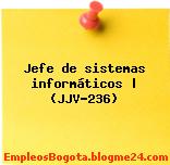 Jefe de sistemas informáticos | (JJV-236)