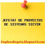 JEFE(A) DE PROYECTOS DE SISTEMAS SICVIR