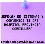 JEFE(A) DE SISTEMAS Y CONVENIOS TI CRS HOSPITAL PROVINCIA CORDILLERA