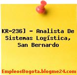 KR-236] – Analista De Sistemas Logística, San Bernardo