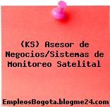 (KS) Asesor de Negocios/Sistemas de Monitoreo Satelital