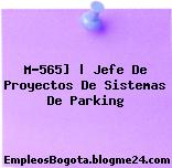 M-565] | Jefe De Proyectos De Sistemas De Parking
