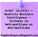 M-977 (CLZ371) – Analista Business Intelligence – Sistemas en Metropolitana en Metropolitana