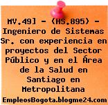 MV.49] – (HS.895) – Ingeniero de Sistemas Sr. con experiencia en proyectos del Sector Público y en el Área de la Salud en Santiago en Metropolitana