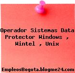 Operador Sistemas Data Protector Windows , Wintel , Unix