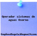 Operador sistemas de aguas Osorno