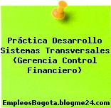 Práctica Desarrollo Sistemas Transversales (Gerencia Control Financiero)