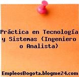 Práctica en Tecnología y Sistemas (Ingeniero o Analista)