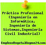 Práctica Profesional (Ingeniería en Informática, Ingeniería de Sistemas,Ingeniería Civil Industrial)