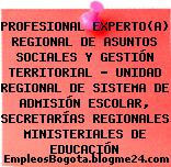 PROFESIONAL EXPERTO(A) REGIONAL DE ASUNTOS SOCIALES Y GESTIÓN TERRITORIAL – UNIDAD REGIONAL DE SISTEMA DE ADMISIÓN ESCOLAR, SECRETARÍAS REGIONALES MINISTERIALES DE EDUCACIÓN