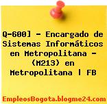 Q-600] – Encargado de Sistemas Informáticos en Metropolitana – (M213) en Metropolitana | FB