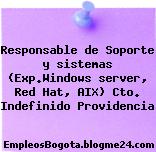 Responsable de Soporte y sistemas (Exp.Windows server, Red Hat, AIX) Cto. Indefinido Providencia