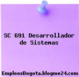SC 691 Desarrollador de Sistemas