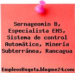 Sernageomin B, Especialista EHS, Sistema de control Automático, Minería Subterránea, Rancagua