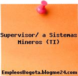 Supervisor/ a Sistemas Mineros (TI)