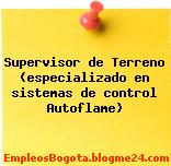 Supervisor de Terreno (especializado en sistemas de control Autoflame)