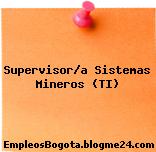 Supervisor/a Sistemas Mineros (TI)