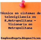 Técnico en sistemas de televigilancia en R.Metropolitana – Visionaria en Metropolitana