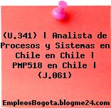 (U.341) | Analista de Procesos y Sistemas en Chile en Chile | PMP518 en Chile | (J.061)