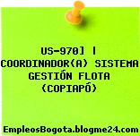 US-970] | COORDINADOR(A) SISTEMA GESTIÓN FLOTA (COPIAPÓ)