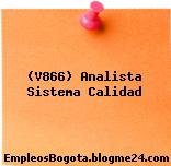 (V866) Analista Sistema Calidad