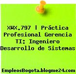 XWX.797 | Práctica Profesional Gerencia TI: Ingeniero Desarrollo de Sistemas