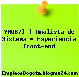 YH067] | Analista de Sistema – Experiencia front-end