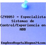(ZY895) – Especialista Sistemas de Control/Experiencia en ABB