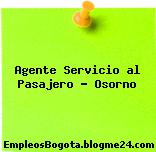 Agente Servicio al Pasajero – Osorno