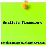 Analista financiero