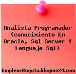 Analista Programador (conocimiento En Oracle, Sql Server Y Lenguaje Sql)