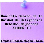 Analista Senior de la Unidad de Diligencias Debidas Mejoradas (EDDU) 1B