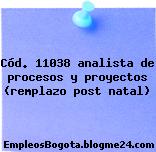 Cód. 11038 analista de procesos y proyectos (remplazo post natal)