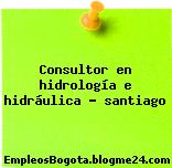 Consultor en hidrología e hidráulica – santiago
