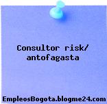 Consultor risk/ antofagasta