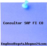 Consultor SAP FI CO