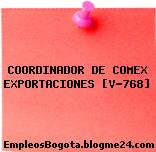 COORDINADOR DE COMEX EXPORTACIONES [V-768]