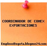COORDINADOR DE COMEX EXPORTACIONES